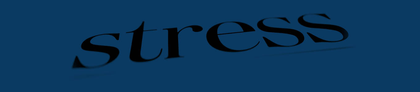 Personal Insolvency Practitioner