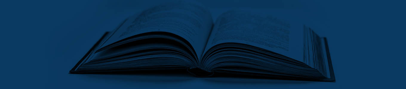 Professional Advisor Services
